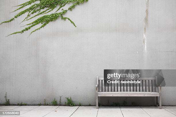 white wood bench by white wall with ivy creeping across it - wooden bench stock pictures, royalty-free photos & images