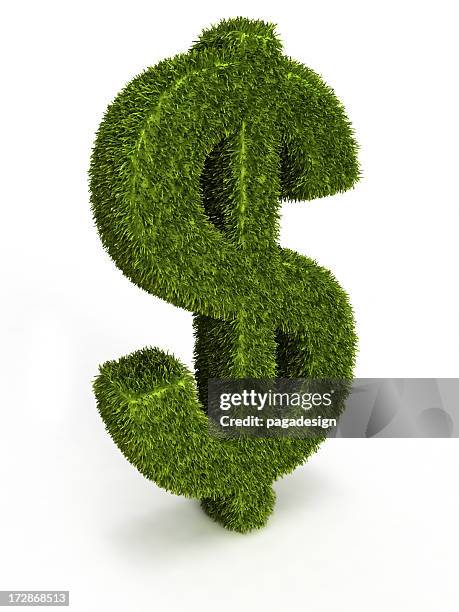 grass dollar - dollar sign key stock pictures, royalty-free photos & images