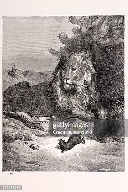 lion and the rat - allegory painting stock illustrations