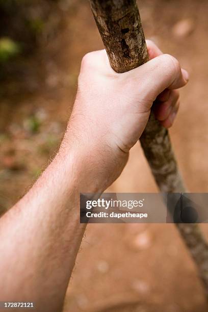 hiker and hiking stick - hiking pole stockfoto's en -beelden