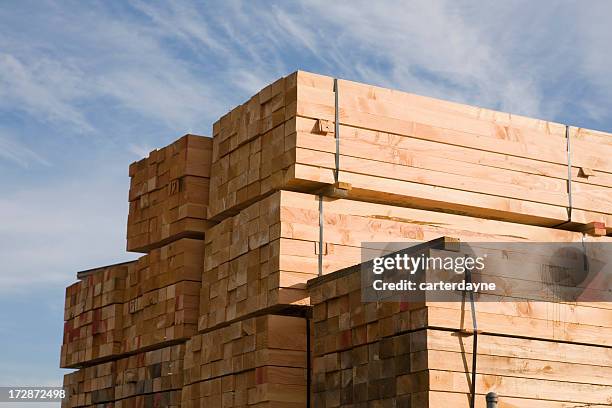 pila de madera en el sitio de construcción o almacén de madera - pared de madera fotografías e imágenes de stock