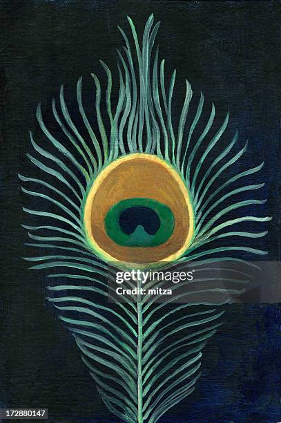 peacock feather - peacock painting stock illustrations