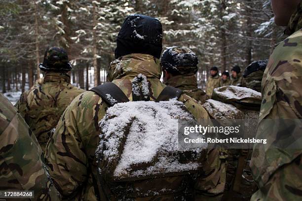 British Royal Marines listen to an instructor as they go through survival exercises March 4, 2013 at the Allied Arctic Training Center in Bardufoss,...