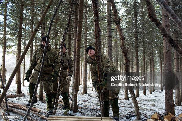 British Royal Marines construct a shelter out of branches found in the frozen woods during survival exercises March 4, 2013 at the Allied Arctic...