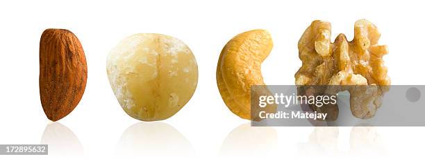 mixed nuts - macadamia nut 個照片及圖片檔