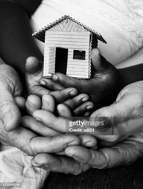 estructura de la familia - cortina rompeviento fotografías e imágenes de stock