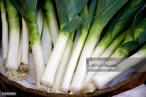 young leeks - leek 個照片及圖片檔