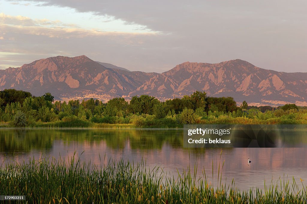 Flatirons ao amanhecer com Pássaro de Natação