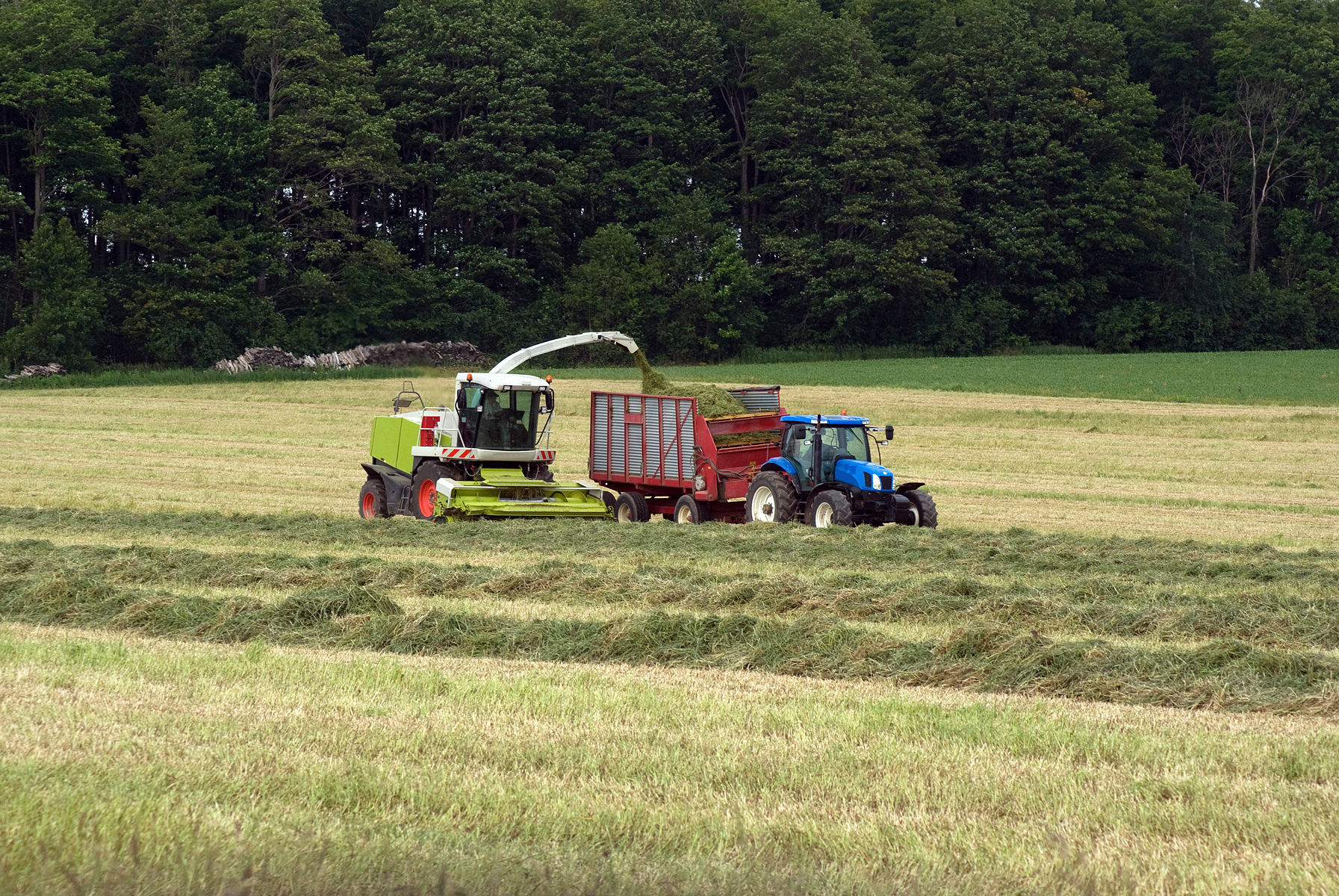 forage harvester