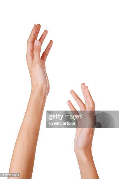 close-up of woman's hands - twee objecten stockfoto's en -beelden