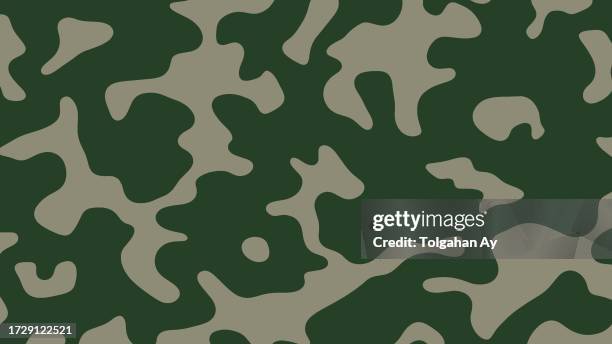 strategic camouflage patterns: military-inspired vector art collection pattern - camouflage pattern vector stock illustrations