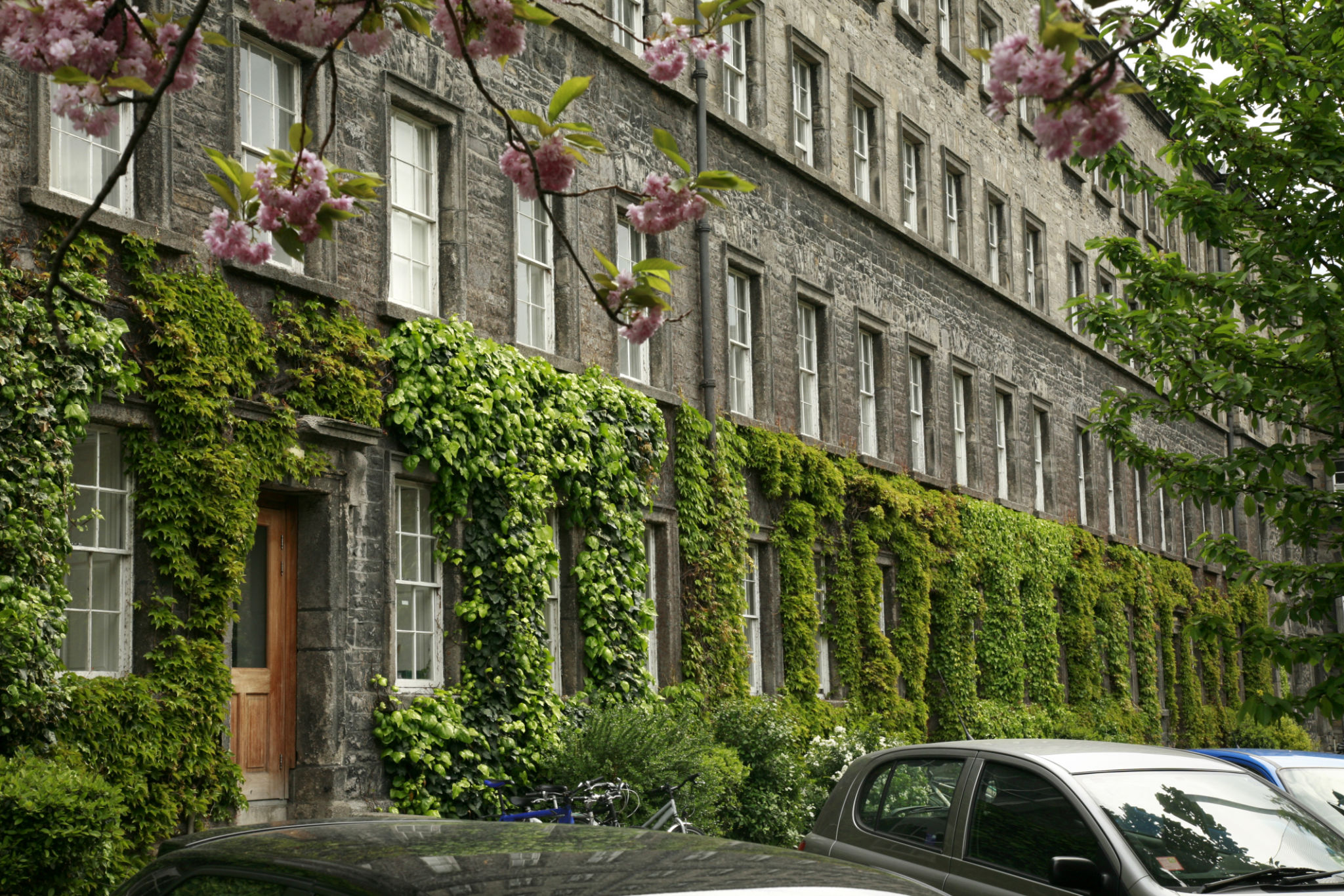 dublin student housing