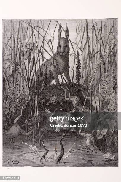 hare and frogs - frog jumping stock illustrations