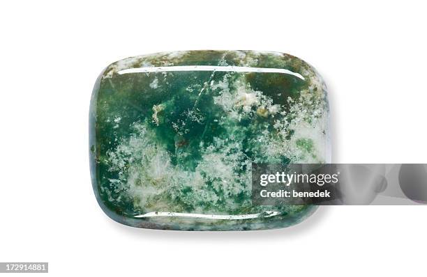 tree agate - agate stock pictures, royalty-free photos & images