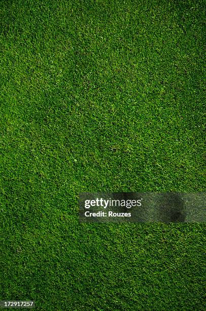 herbe - terrain-de-cricket photos et images de collection
