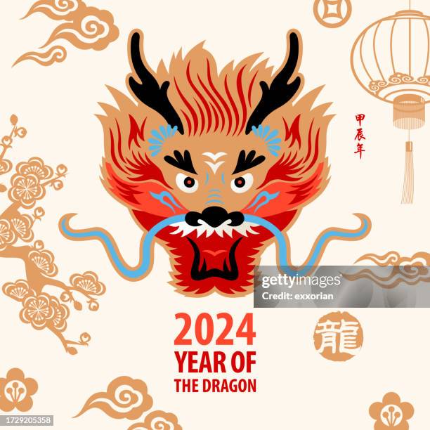 cabeza de dragón de año nuevo chino - kung hei fat choi stock-grafiken, -clipart, -cartoons und -symbole