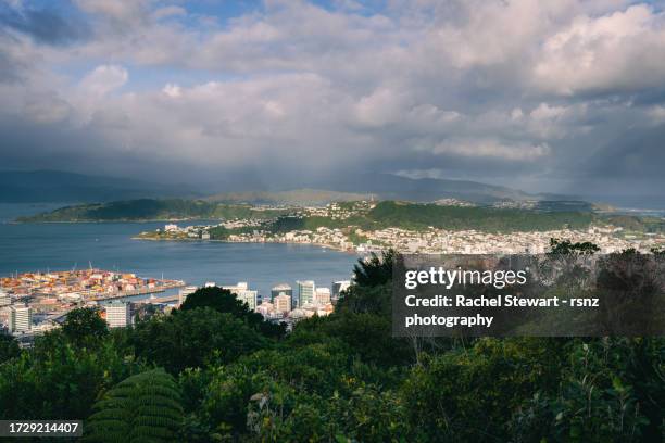 wellington city lookout new zealand - wellington new zealand harbour stock pictures, royalty-free photos & images