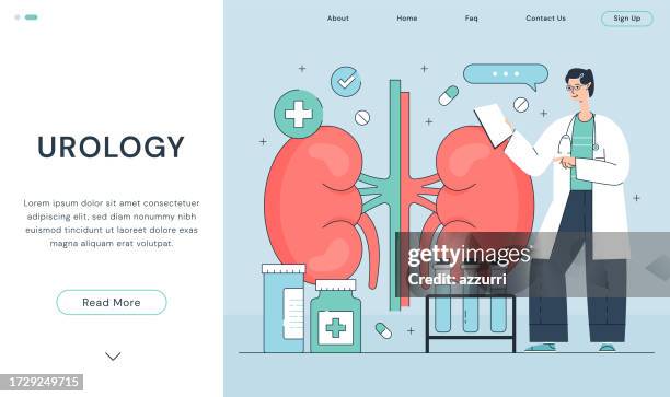 urology illustration - urine problem stock illustrations