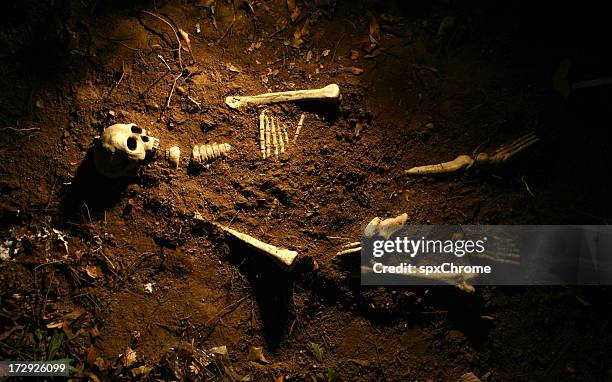 scene of the crime - exhuming stock pictures, royalty-free photos & images