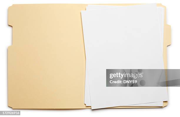 Open File Paper Image 978 Arranging Papers In A File Stock Photos, High-Res Pictures, and ...