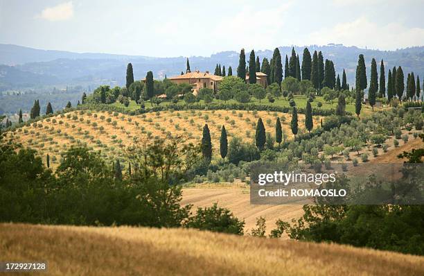 farmhouse and cypress lined road in tuscany, italy - tuscany villa stockfoto's en -beelden