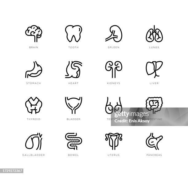 human organs icons - thyroid stock illustrations