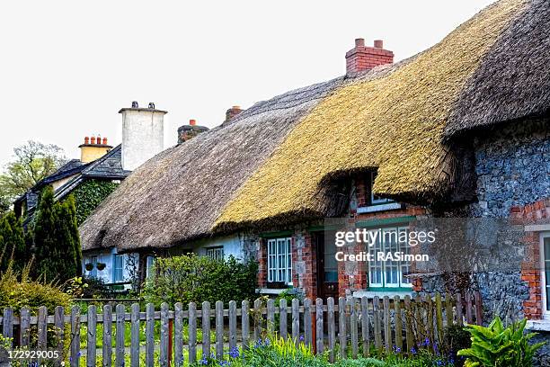 strohdach hütten - verwaltungsbezirk county limerick stock-fotos und bilder