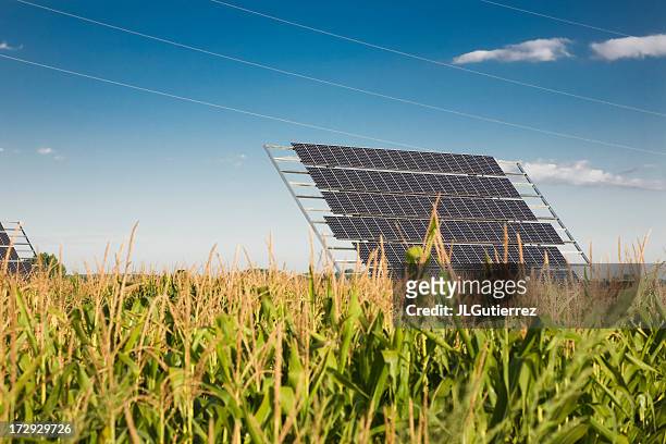 natürlicher energie - solarpark stock-fotos und bilder