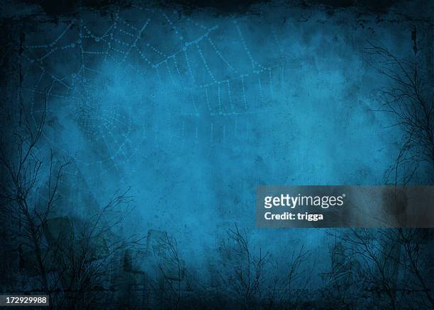foggy night view, of bare branches covered in spider webs - spooky stock pictures, royalty-free photos & images
