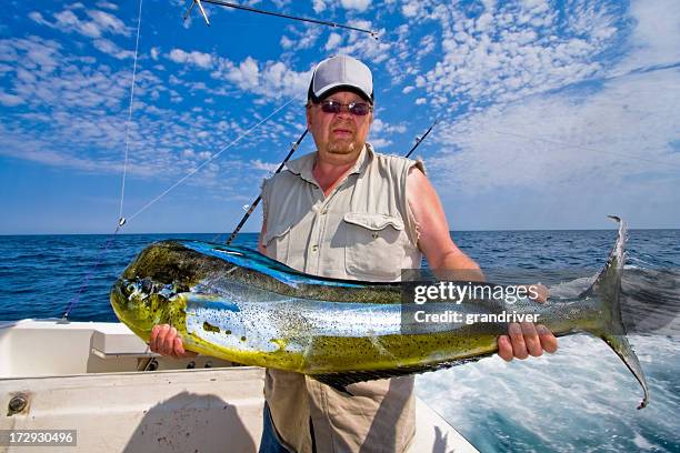 medio de raza blanca con muelle de mahi mahi: dorado, o pez delfín - dolphin fish fotografías e imágenes de stock