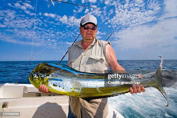 middle aged caucasian fisherman with mahi-mahi, dorado or dolphin fish - dolphin fish stock pictures, royalty-free photos & images