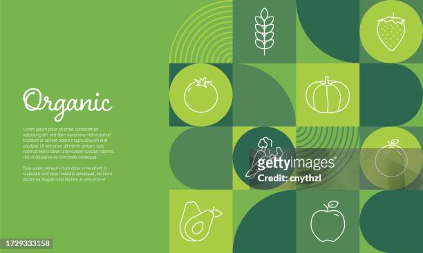 ilustraciones, imágenes clip art, dibujos animados e iconos de stock de ilustración vectorial de diseño de banner orgánico. alimentos orgánicos, veganos, frescos de granja, producto natural, bio y cultivados localmente. - veganismo