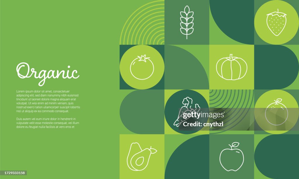 Organic Banner Design Vector Illustration. Organic Food, Vegan, Farm Fresh, Natural Product, Bio and Locally Grown.