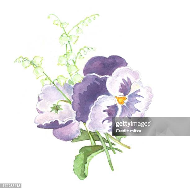 ilustrações, clipart, desenhos animados e ícones de arranjo de flores da primavera - pansy