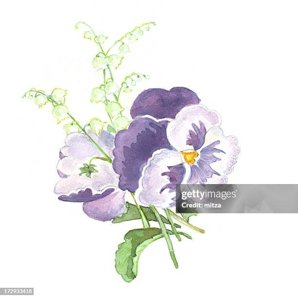 spring flowers arrangement - pansy stock illustrations