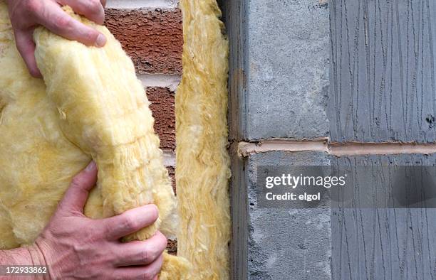 casa de aislamiento - aislante fotografías e imágenes de stock