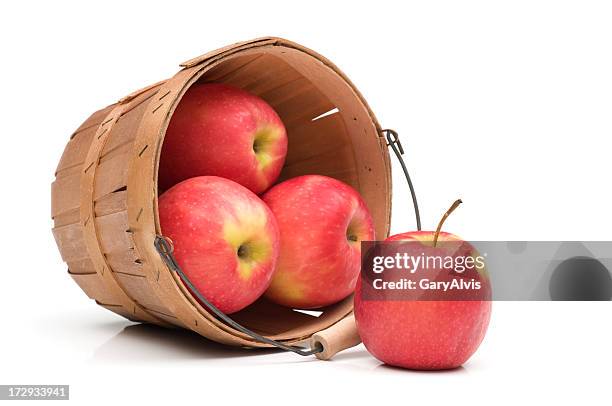 close up red apples spilling from basket-isolated on white - red apples stock pictures, royalty-free photos & images