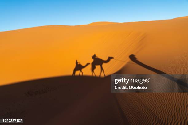 shadows of camels and people in sahara desert, morocco - camel isolated stock pictures, royalty-free photos & images
