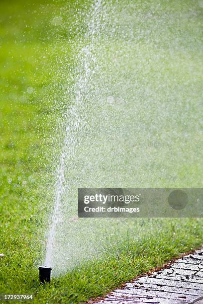 watering the grass - sprinkler system stock pictures, royalty-free photos & images