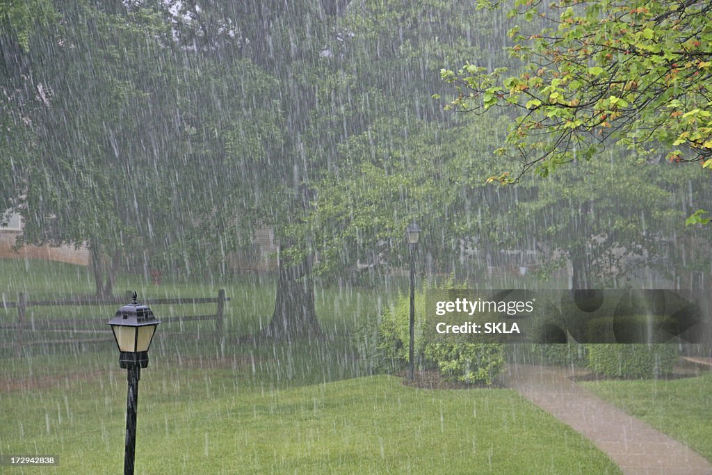 Lluvia fuerte en el parque