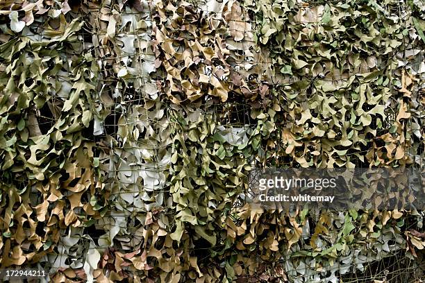 camouflage netting - kamouflagekläder bildbanksfoton och bilder