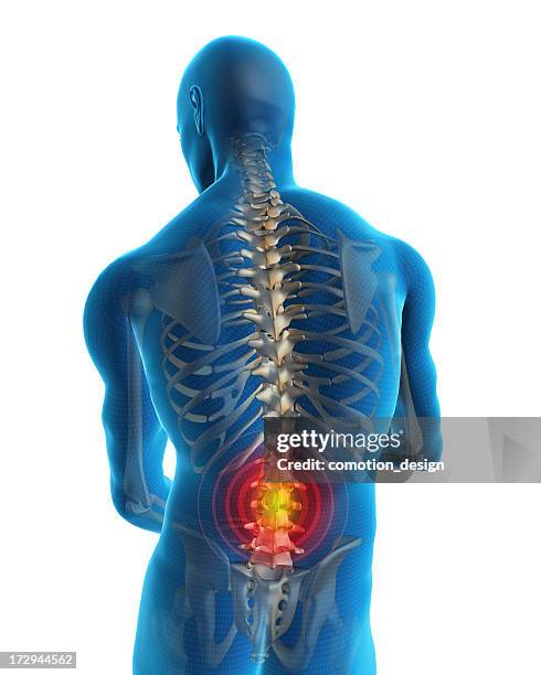 Subhuman Back 5,403 Human Back Anatomy Stock Photos, High-Res Pictures, and Images ...