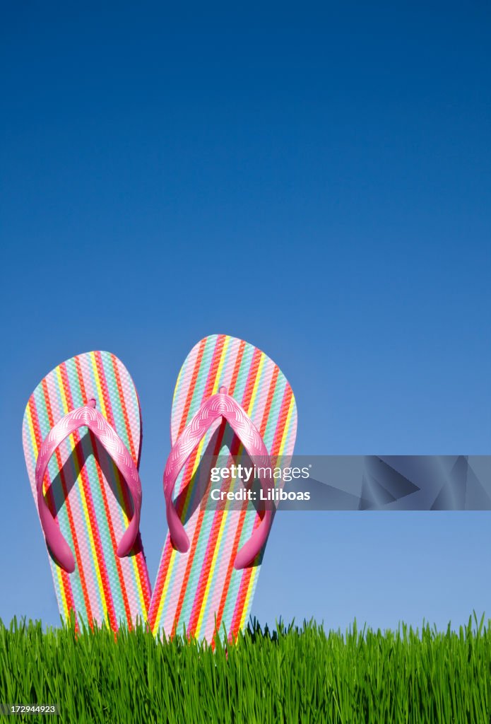 Flip Flops vertikale (XXL