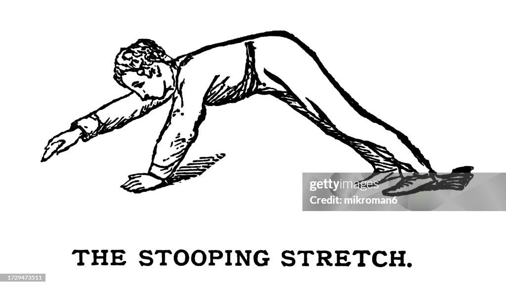 Stooping Motion Old Engraved Illustration Of Hygienic Gymnastics Healthy Lifestyle The ...