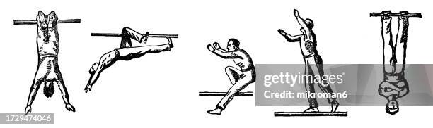 old engraved illustration of hygienic gymnastics, healthy lifestyle - sports and exercises: gymnastic exercises using a bar - artistic gymnastics stock pictures, royalty-free photos & images