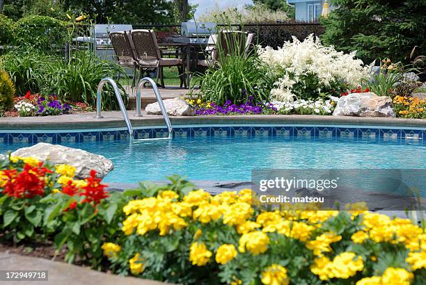 Pool Spring Bloom 47,365 Pool Flowers Stock Photos, High-Res Pictures, and Images - Getty ...