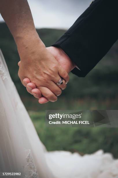 closeup of a bride and groom holding hands with grass in the background - platinum rings stock pictures, royalty-free photos & images
