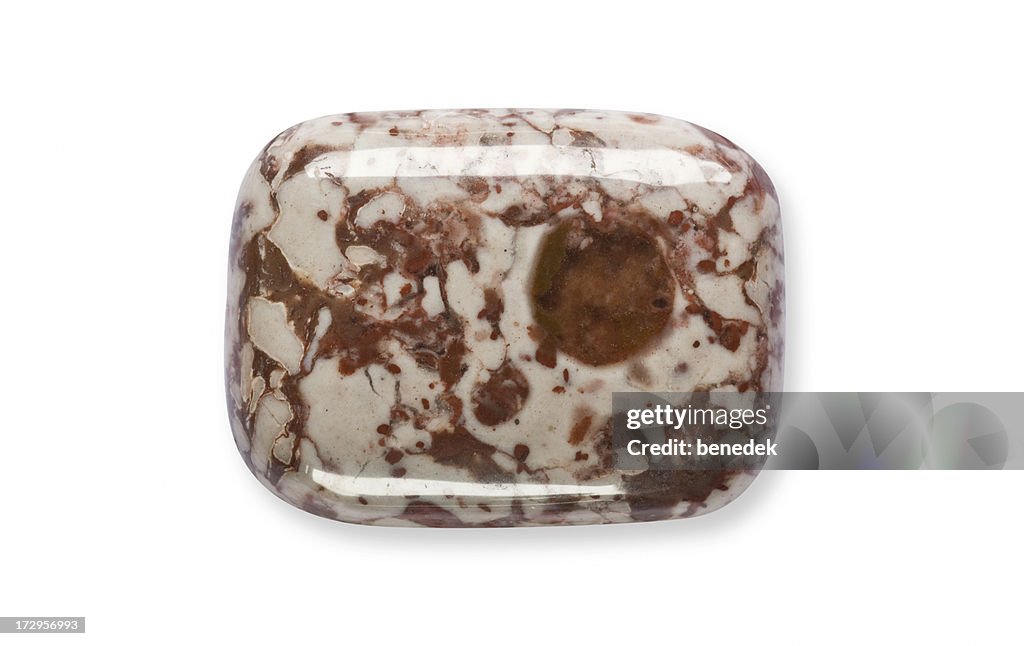 Tigre Jasper