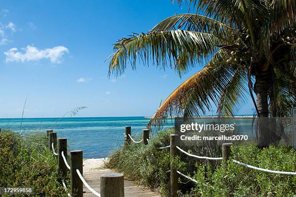parcours de formation sur la plage - key west photos et images de collection