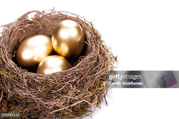 close up of a bird's nest, with three shiny golden eggs  - golden egg stock pictures, royalty-free photos & images